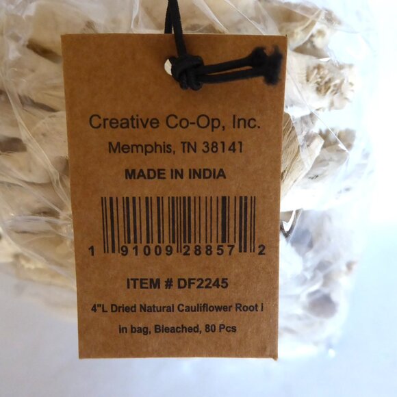NEW 4” 80 PIECES DRIED NATURAL DECORATIVE BLEACHED CAULIFLOWER ROOT JAR FILLER - Picture 9 of 9